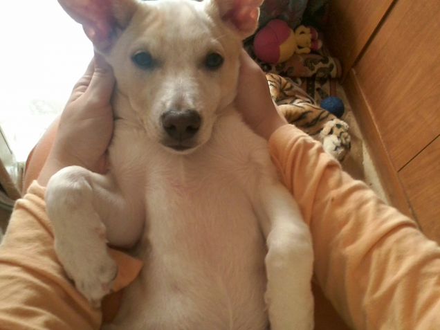 Mi fai le coccole?