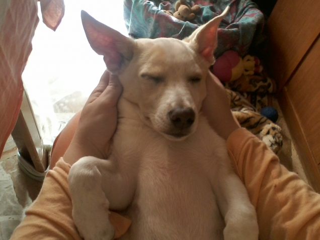 Il dopo coccole