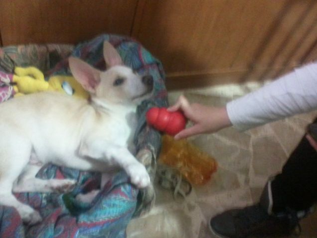 Mamma aspetta altri 2 minuti e poi giochiamo
