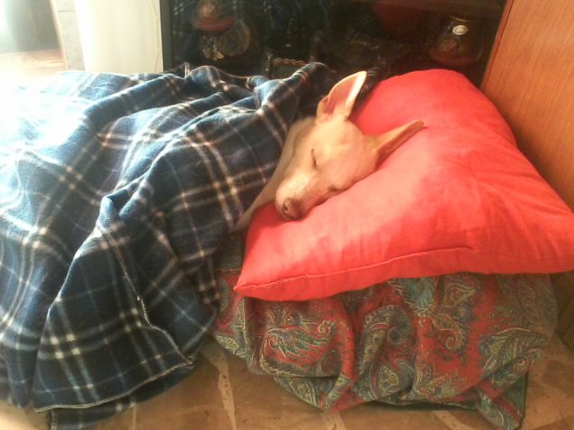 Non disturbate