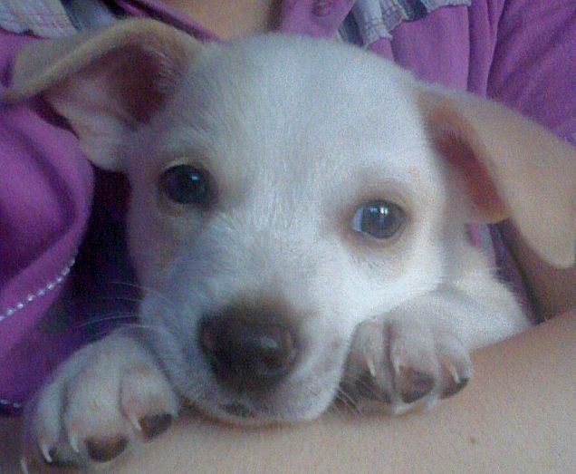 Sono bello?