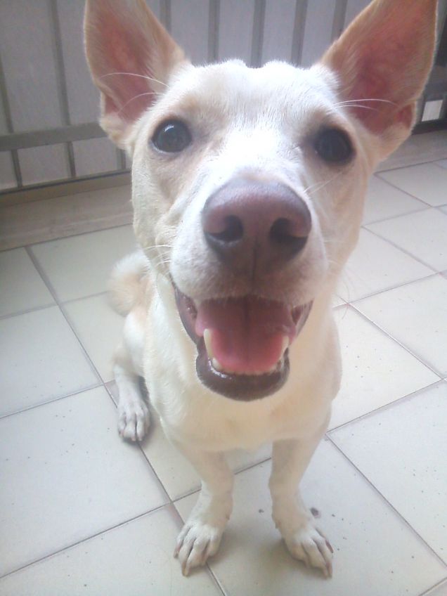 Sorrisino per la stampa