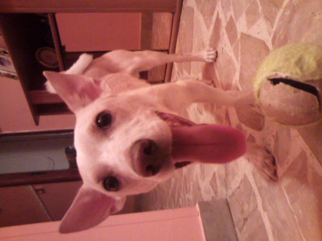 Sei tornata? Ora giochiamo vero? 