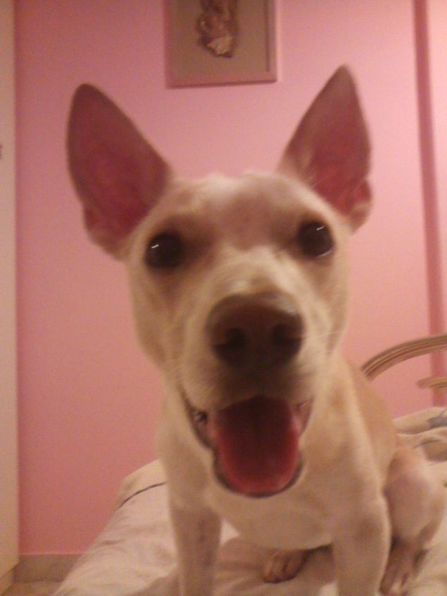 Ti svegli e guardi questo bellissimo sorriso