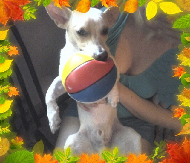 La palla deve esserci sempre