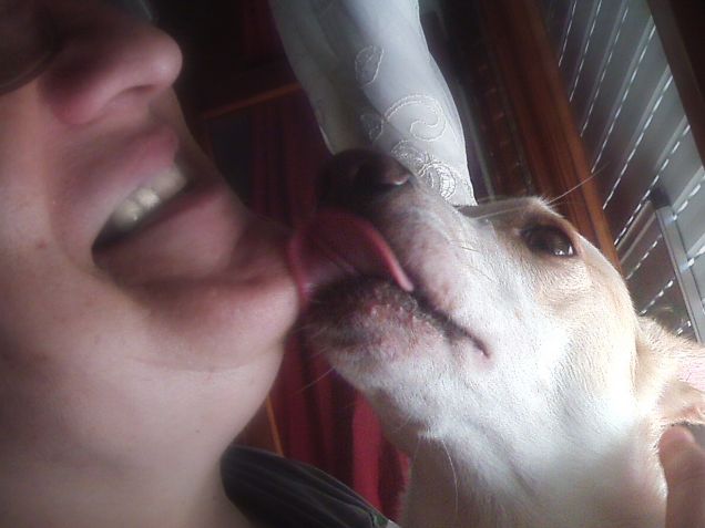 Devo pulirti bene la faccia