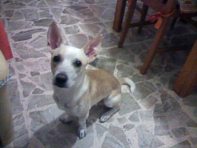 Mamy è pronta la pappa?