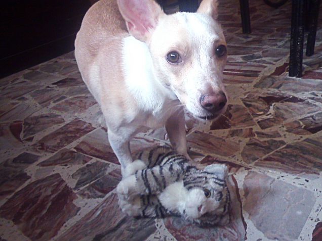 Mamy ci posso giocare vero?