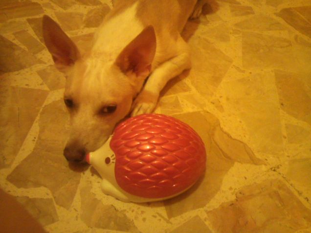 Un bacetto dal riccetto