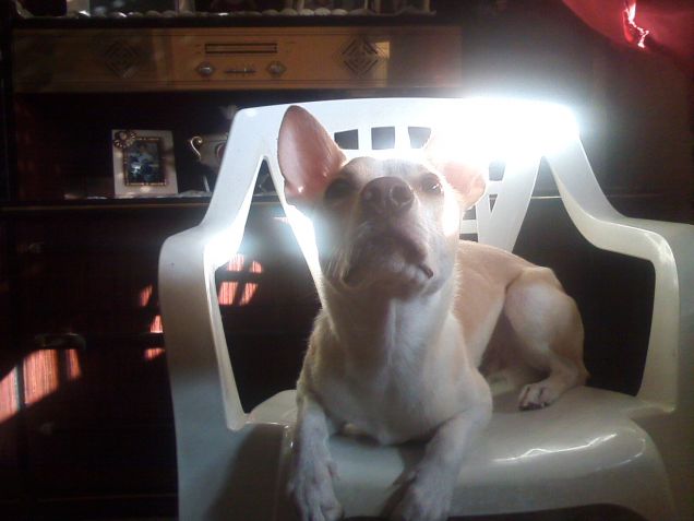 In cerca di un po' di sole