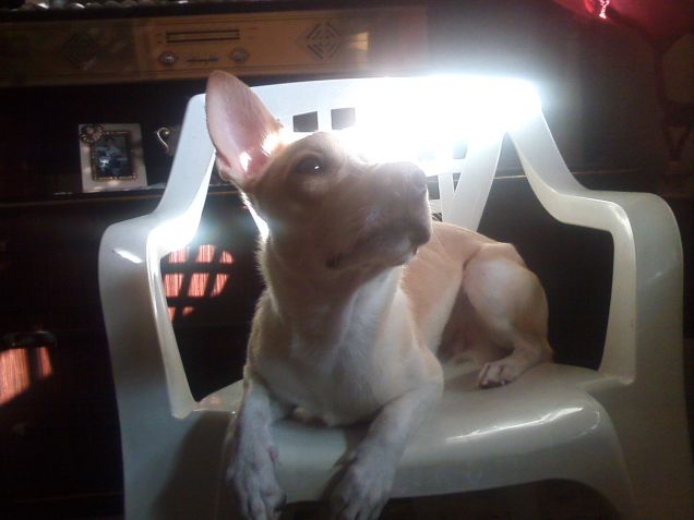 Ah si! Che bel sole mattutino!