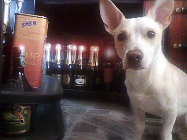 Non sono ubriaco, aiuto la mamma al piano bar