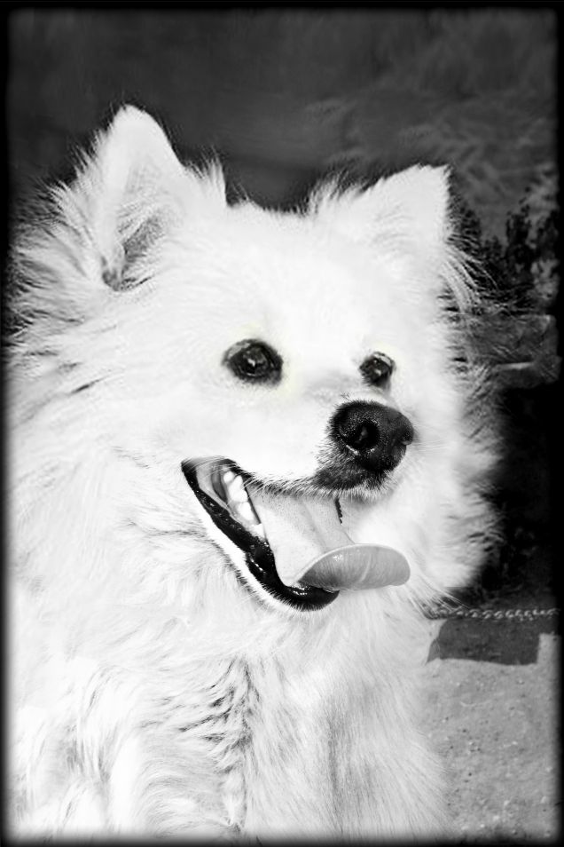 Il suo sorriso migliore