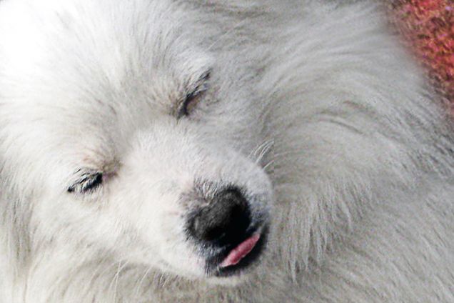 To sleep - first floor