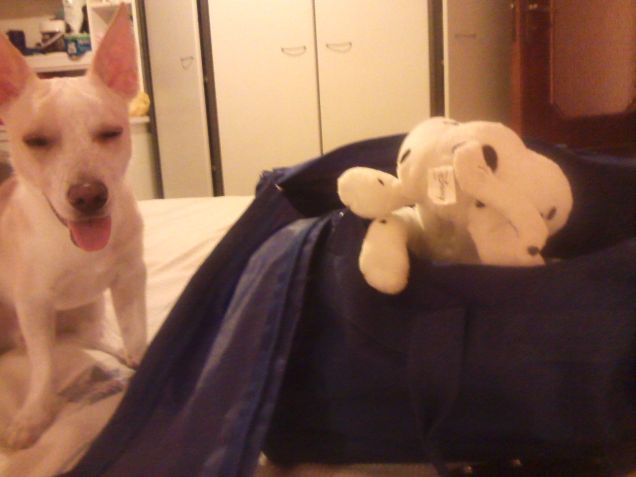 Tutto pronto per la partenza? 