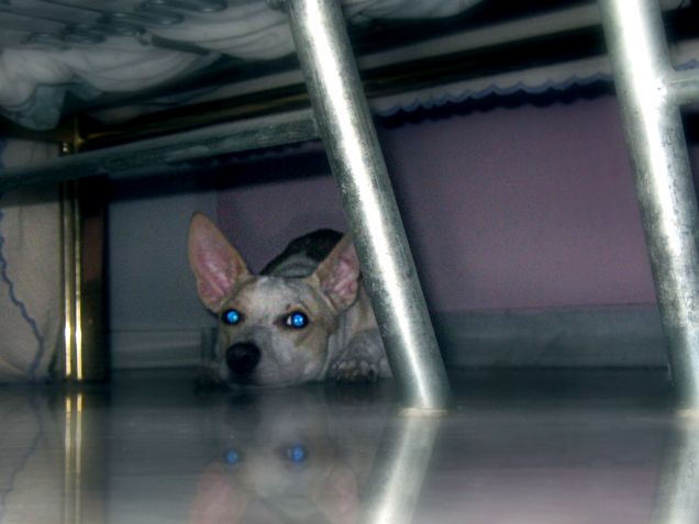 Ho trovato un posticino più fresco