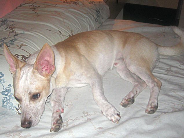 Quando qualcuno ti ruba il letto