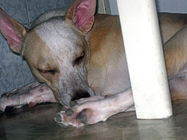 Qui forse c'è un po' di vento