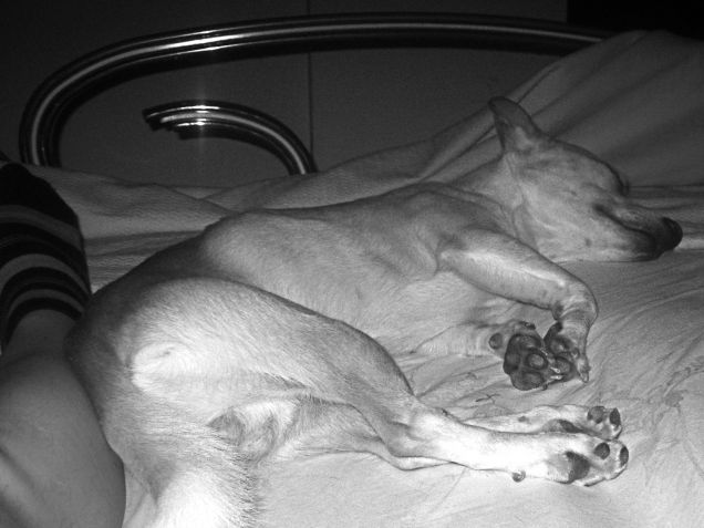 Niente da fare, ritorno sul letto