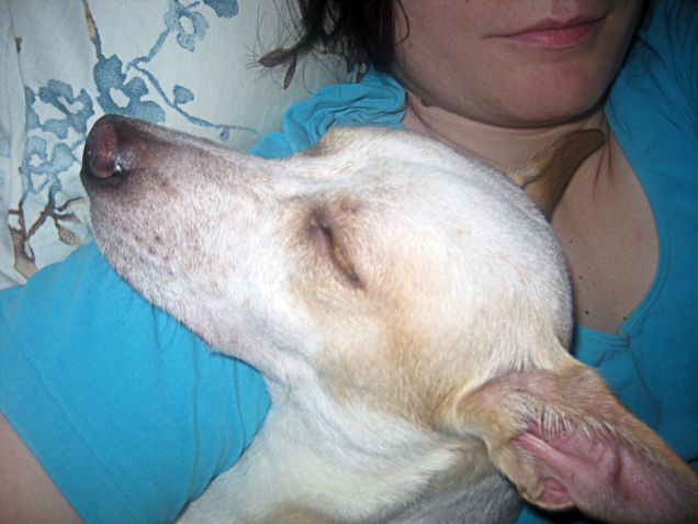 Ah! finalmente ho trovato un posto comodo e sicuro