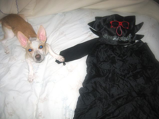 Diamoci la zampa amico e gridiamo insieme NO AL RAZZISMO!