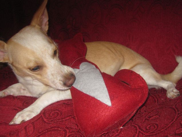 Un attimo di tregua, sono stanco