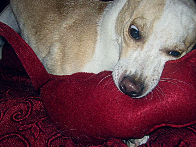 Riprendiamo la lotta