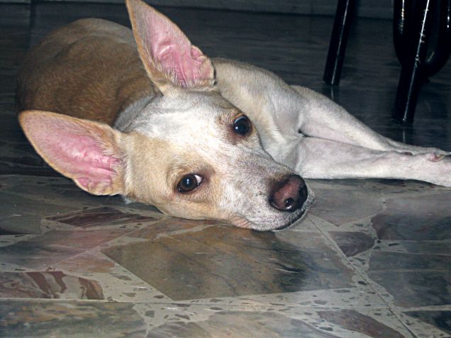 Un po' di stanchezza