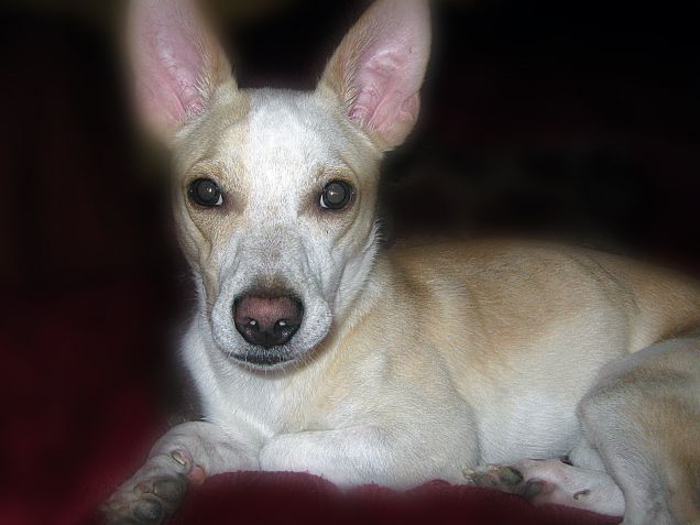 Rilassato ma con le antenne ben sintonizzate con il mondo esterno