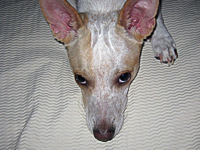 Uffa questo tempaccio!