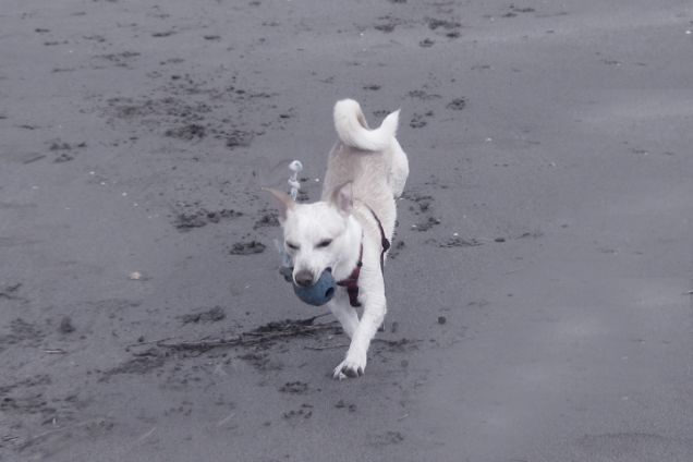 Acrobazie: la verticale