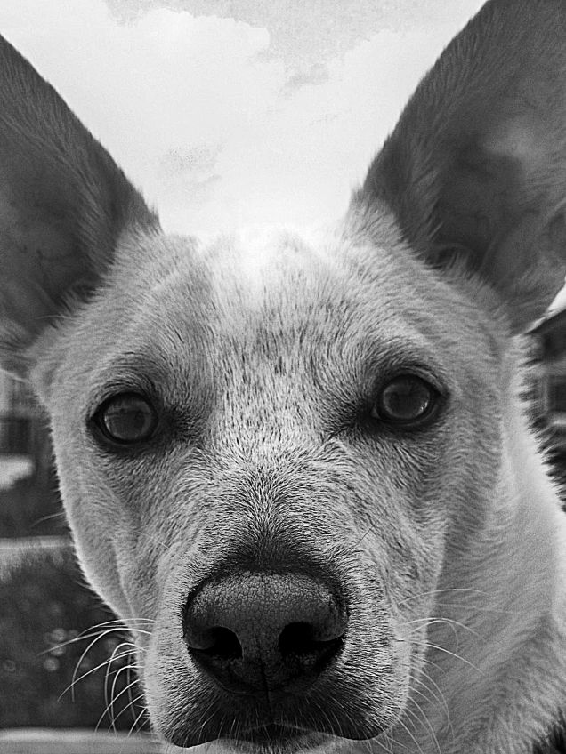 Perché per me sei perfetto