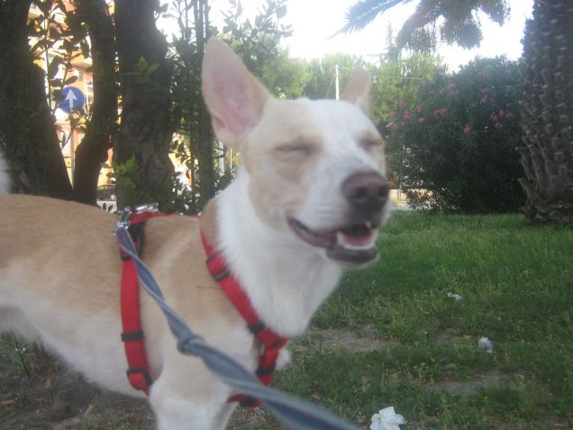 Che goduria, non piove più!