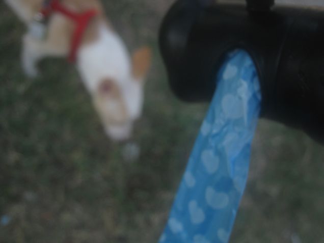 Chi sporca è sporco... raccogliere i bisogni è un atto d'amore