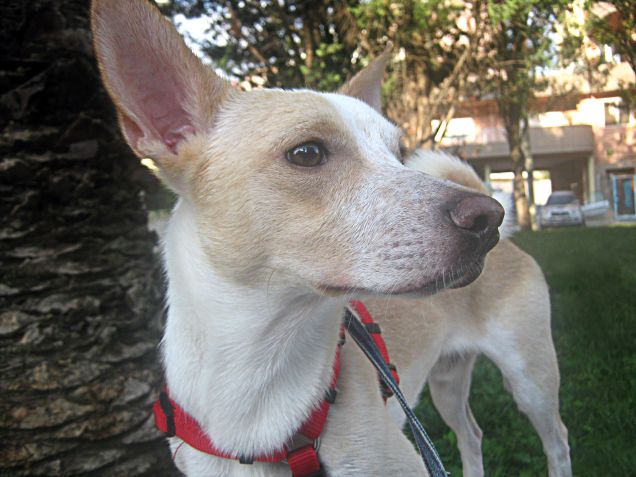 Quando torna il sole tutto sembra più bello