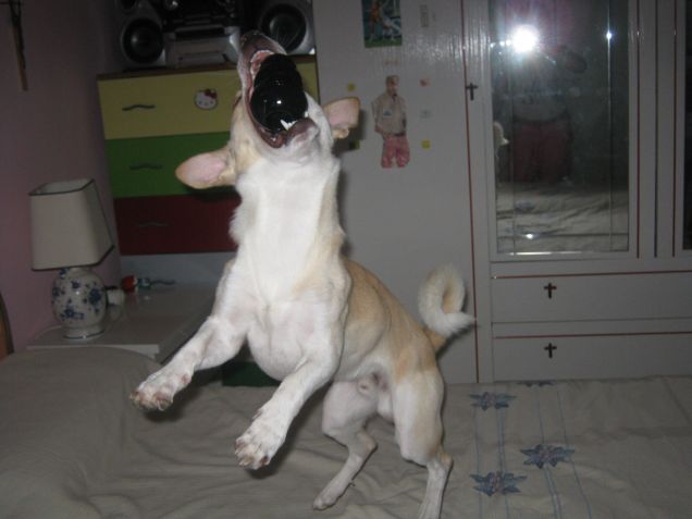 Ti ho presa al volo!