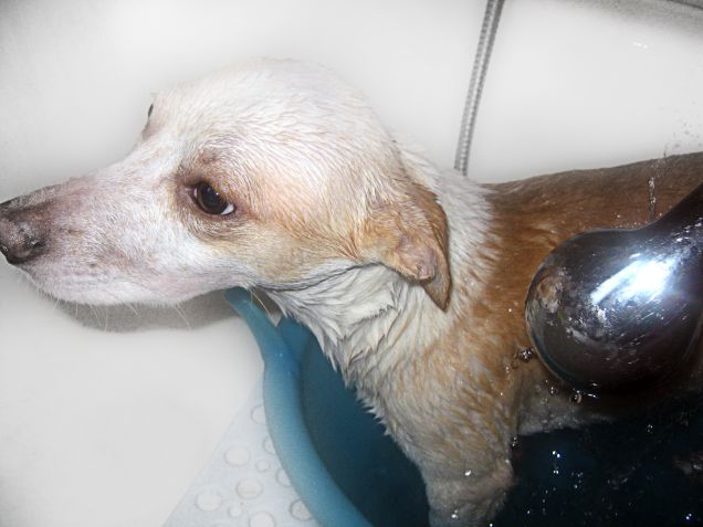 Lo sapevo che stavi architettando qualcosa