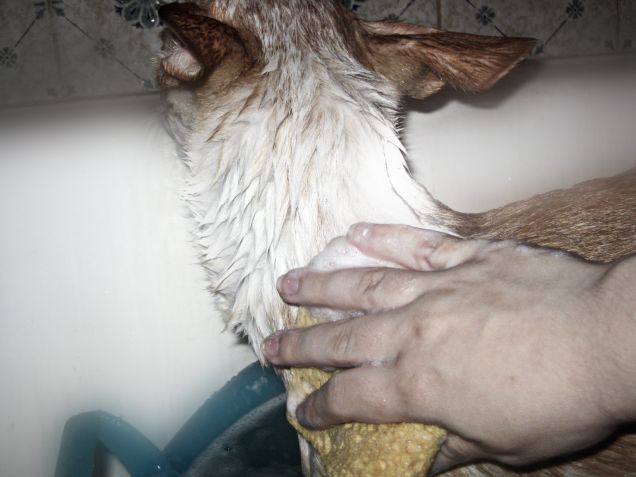 Non ti guardo, sono offeso