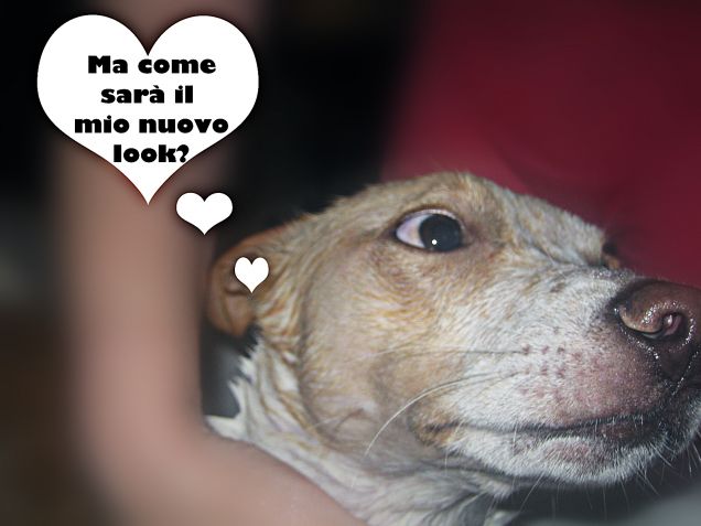 Aspettando il nuovo look