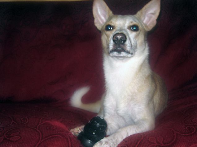 Sono più bello ora?