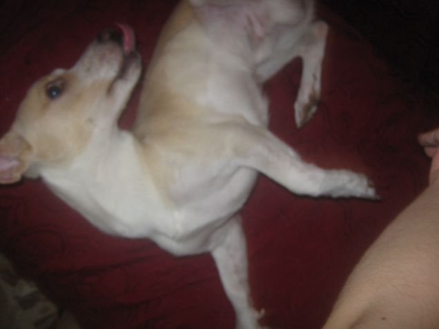 Posizione attira coccole