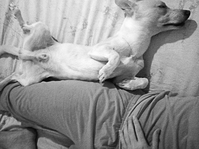 Ninna nanna amore di mamma