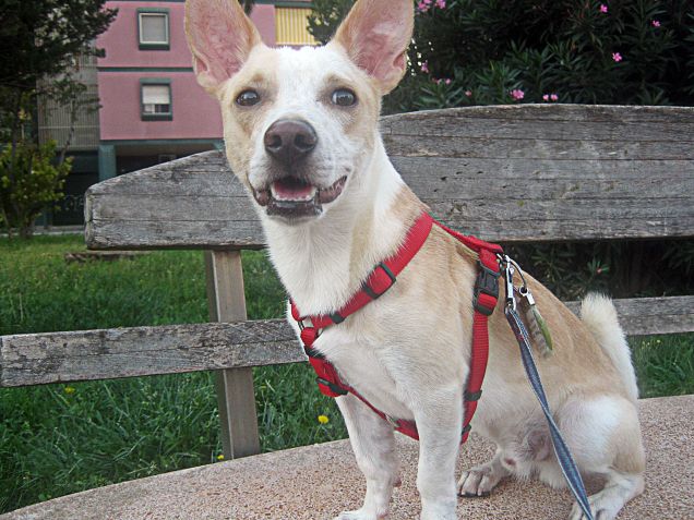 Tutte le panchine del parco sono mie