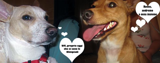 Discorsi da maschi e femmine