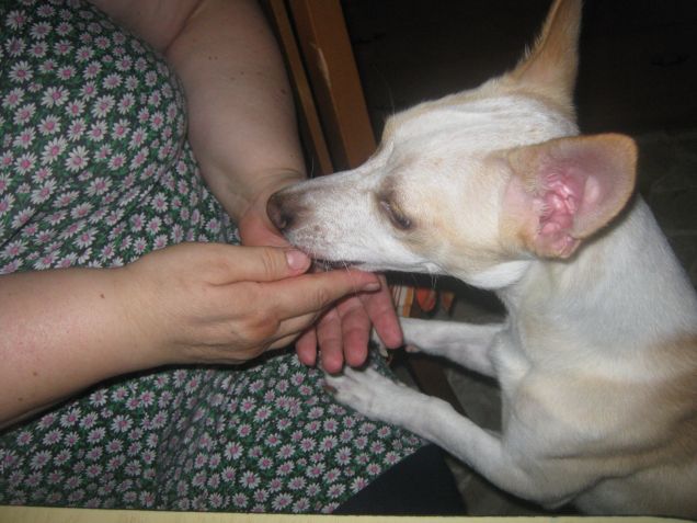 Piccoli vizi parte seconda