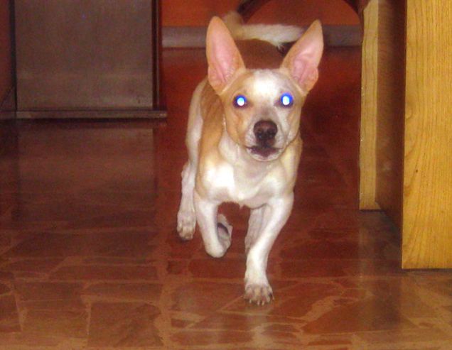 Un alieno si avvicina lentamente