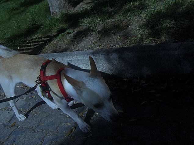 Ultimo giretto serale