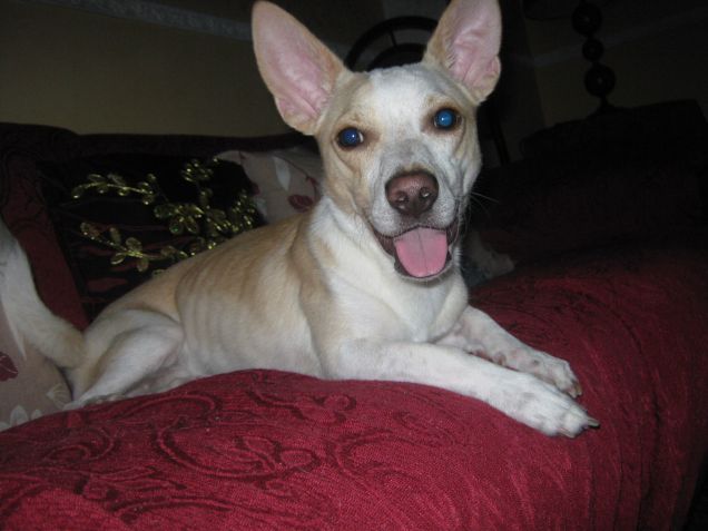 Ah si! Ora sono stanco e contento