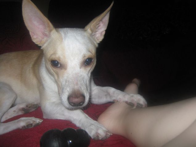 Mi fai le coccole così mi addormento?