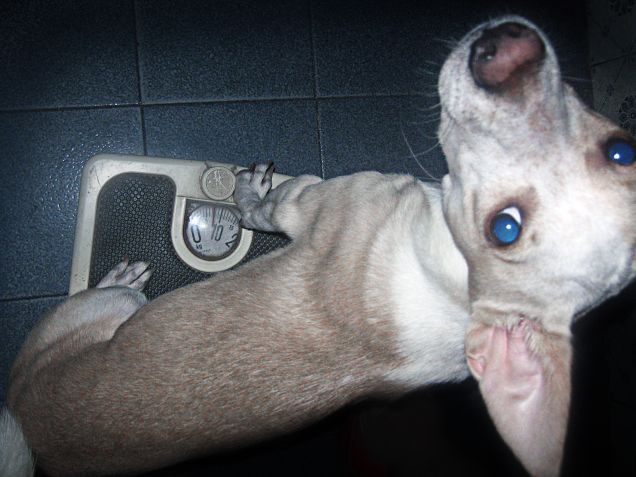 Controlliamo il peso